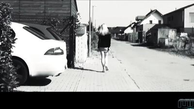 Professional Stalker