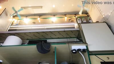 Sexy chick upskirted when she had no panties on