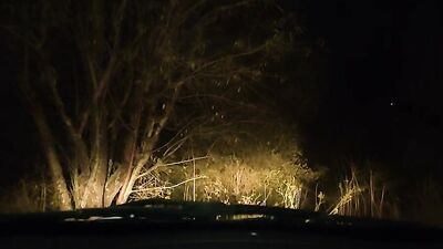 Sex with mother's friend in a car