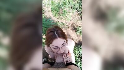 Una mañana normal viviendo en la momtaña