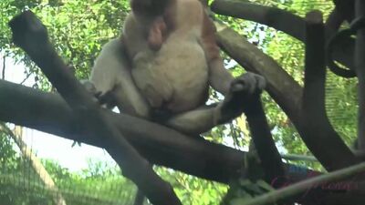 Jamie Marleigh's POV on a virtual trip to Singapore with her boyfriend