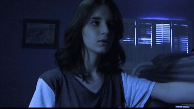 Pillow Fighters And Pillow Biters