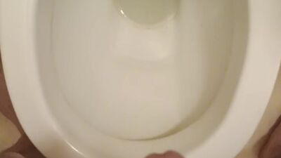 Piss in toilet