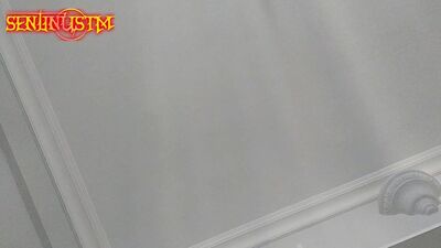 Azgın Baldızını Sikiyor