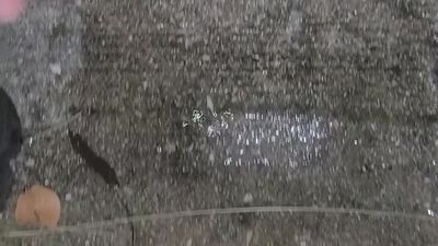 Late night outside piss play