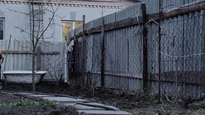 Vegetable garden in order