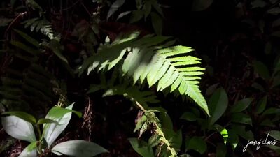 ME CORRO! Que rico se humedecen mis dedos con el cum de mi novia en el río