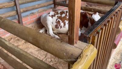 visito una granja, y consigo una morena sexi para follar