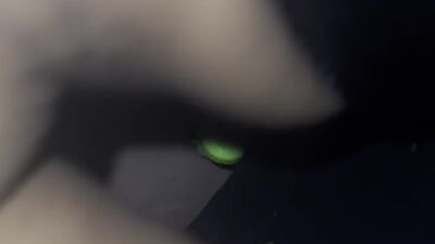 Me & Bestie 1st 3Some Part 2 Eatin Pussy Backshots