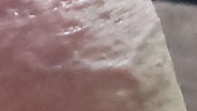 Semi-erecta 23cm xxx