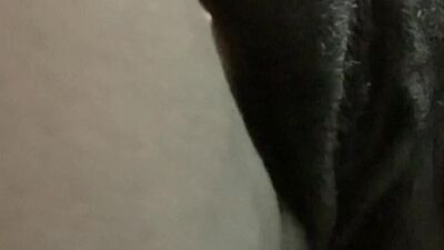 Close Up Front View Of Solo Anal