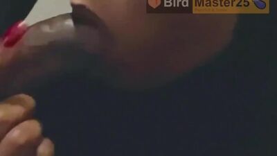 The way I love Penis Guys ????… i wish i could just keep it in my Mouth All day….