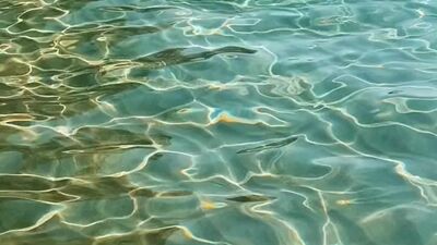 ???????????? PERFECT BABE WANTS CREAMPIE