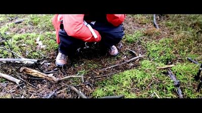 Yet another hiking piss, I'm doing that just by the hiking trail