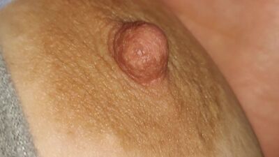 Watch how the cow's dicks swell while I jerk off my slave who ends up cumming everywhere