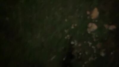 Lances little dic pissing outside