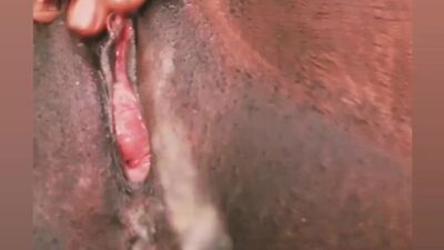 Ebony Squirting