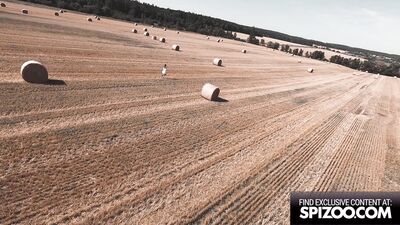 Alexis Crystal Passionate Anal And Facefucking