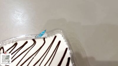 Stepson fucked stepmom with big ass after the party