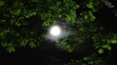 GVG-330 Big Boobs Daughter-in-law Maki To The Old Men Of The Sexual Process Of Rumor In The Hospital Kyoko