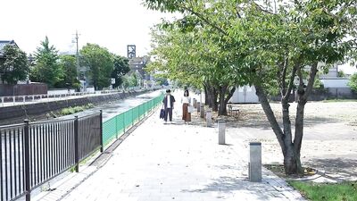 ALDN-116 Tabiji Mother and play's Two Journeys Aya Kaba